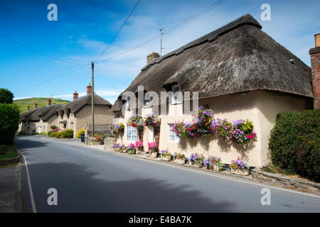 Cottage con il tetto di paglia nel villaggio di West Lulworth, Dorset England Regno Unito Foto Stock