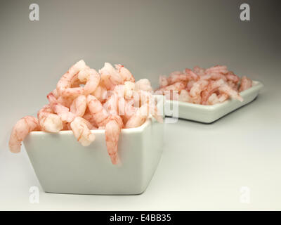 Gamberetti sgusciati, boreale Foto Stock