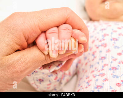 Genitore in possesso di una mano i neonati Foto Stock