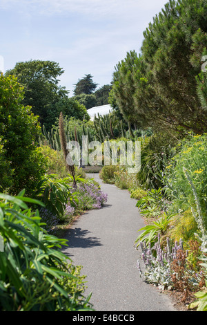 Vista generale di Ventnor Botanic Garden a Ventnor, Isola di Wight in Inghilterra su una soleggiata giornata estiva. Foto Stock