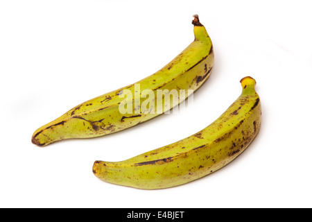 Banane plantano isolato su un bianco di sfondo per studio. Foto Stock