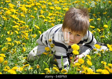 Un ragazzo con un bouquet di tarassaco Foto Stock
