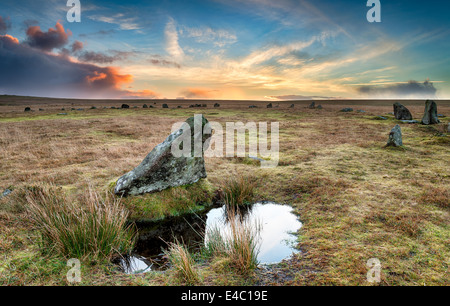 Sunrise a Stannon cerchio di pietra a Bodmin Moor in Cornovaglia Foto Stock