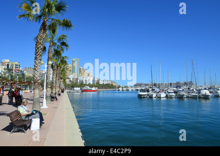 Lungomare esplanade, Porto di Alicante, Alicante, Costa Blanca, Alicante provincia, il Regno di Spagna Foto Stock