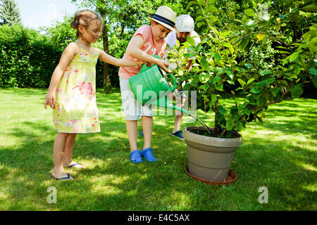 Padre e i due figli di irrigazione di piante in vaso in giardino, Monaco di Baviera, Germania Foto Stock