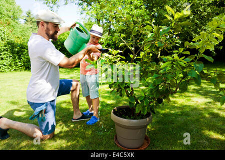 Padre e figlio di irrigazione di piante in vaso in giardino, Monaco di Baviera, Germania Foto Stock