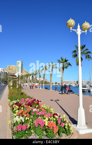 Lungomare esplanade, Alicante, Costa Blanca, Alicante provincia, il Regno di Spagna Foto Stock