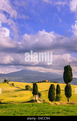 Nel cuore della Toscana, immerso nel verde della Val d'Orcia, vicino ai cavalletti di Pienza agriturismo Podere Terrapille Foto Stock