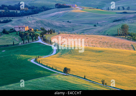 Nel cuore della Toscana, immerso nel verde della Val d'Orcia, vicino ai cavalletti di Pienza agriturismo Podere Terrapille Foto Stock