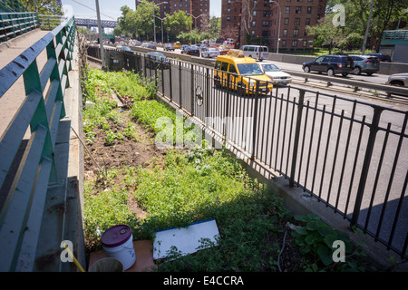 Un squatter crea un giardino coltivazione degli ortaggi lungo la FDR Drive nel quartiere di Lower East Side di New York Foto Stock