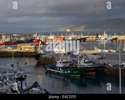 Getaria, Gipuzkoa, Paesi Baschi, Spagna. La trafficata commerciale porto di pesca. Foto Stock