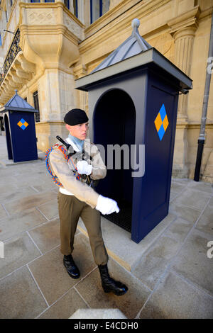 Guard Grand Ducal Palace Luxembourg Europe Foto Stock