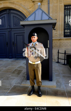 Guard Grand Ducal Palace Luxembourg Europe Foto Stock