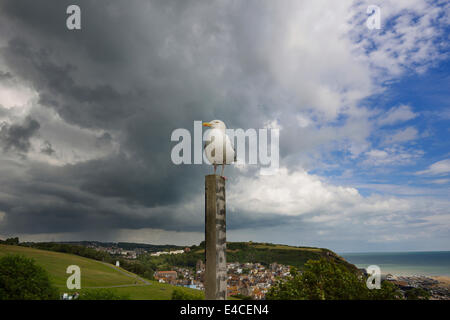 Old Town Hastings, East Sussex, Regno Unito. 8th luglio 2014. Un gabbiano di aringa appare inimpressionato da una tempesta di tempesta imminente sopra la località costiera di Hastings. Foto Stock
