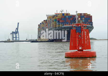 La 151. 000 ton MSC Gaia nave container essendo percorribile con l aiuto dei rimorchiatori in Felixstowe Terminal Container, UK. Foto Stock