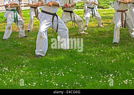 Gruppo di uomini taekwondo con bastoni esegue nel parco Foto Stock