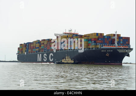 La 151. 000 ton MSC Gaia nave container essendo percorribile con l aiuto dei rimorchiatori in Felixstowe Terminal Container, UK. Foto Stock