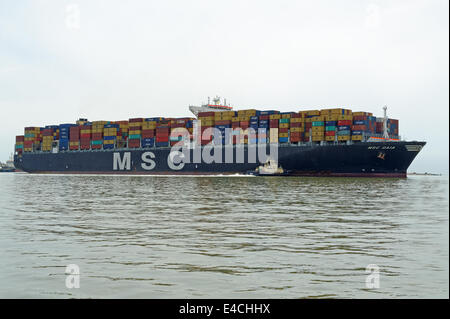 La 151. 000 ton MSC Gaia nave container essendo percorribile con l aiuto dei rimorchiatori in Felixstowe Terminal Container, UK. Foto Stock