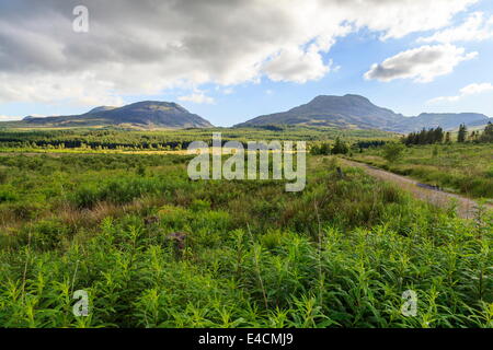 Il Rhinogs visto dal lato nord-est Foto Stock