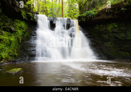 Goit Stock a cascata in Haren boschi vicino a Bradford Foto Stock