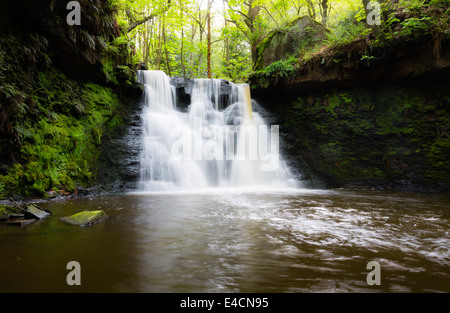 Goit Stock a cascata in Haren boschi vicino a Bradford Foto Stock