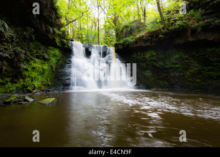 Goit Stock a cascata in Haren boschi vicino a Bradford Foto Stock