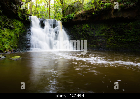 Goit Stock a cascata in Haren boschi vicino a Bradford Foto Stock