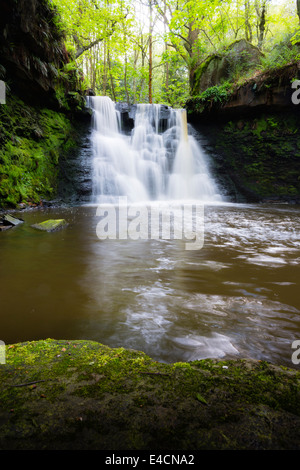 Goit Stock a cascata in Haren boschi vicino a Bradford Foto Stock