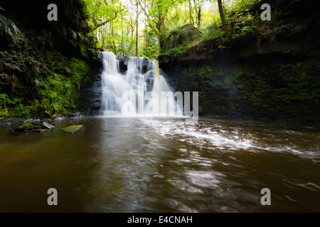 Goit Stock a cascata in Haren boschi vicino a Bradford Foto Stock