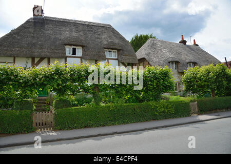 Con il tetto di paglia cottage di campagna nel villaggio di Selborne, Hampshire, Inghilterra, Regno Unito Foto Stock