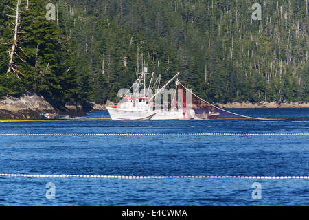 Commerciale di pesca del salmone, Prince William Sound, Chugach National Forest, Alaska Foto Stock