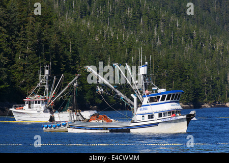 Commerciale di pesca del salmone, Prince William Sound, Chugach National Forest, Alaska Foto Stock