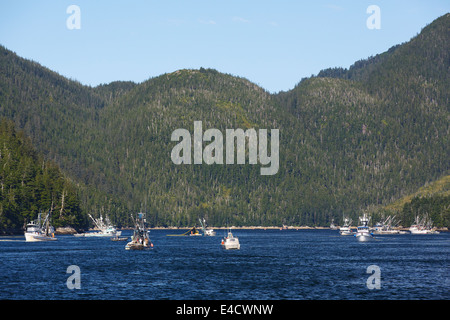 Commerciale di pesca del salmone, Prince William Sound, Chugach National Forest, Alaska Foto Stock