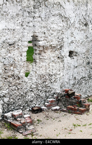 Caminetto in mattoni e tabby rovine della piantagione di Kingsley quarti slave sulla Fort George isola vicino a Jacksonville, Florida. Foto Stock