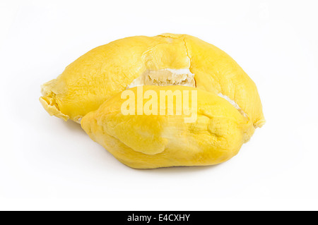 Durian, il re della frutta del Sud Est Asiatico isolato su sfondo bianco. Foto Stock