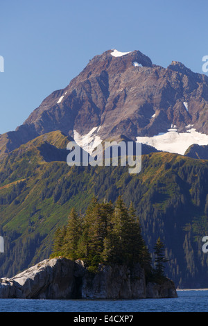 Northwestern Fjord, il Parco nazionale di Kenai Fjords, vicino a Seward, Alaska. Foto Stock