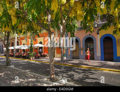 Signora in rosso a Plaza Machado, Mazatlan Viejo, Messico Foto Stock
