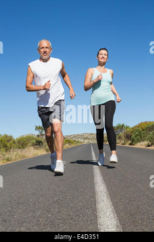 Montare matura in esecuzione su strada aperta insieme Foto Stock