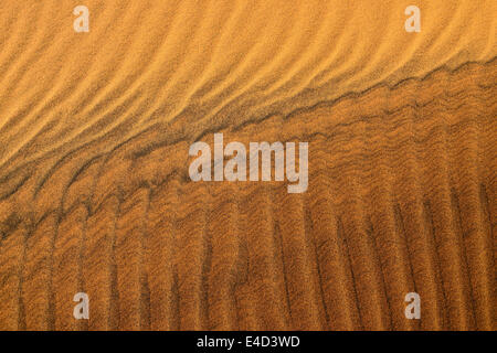 Increspature di sabbia, texture su una duna di sabbia, del Tassili n'Ajjer, il deserto del Sahara, Algeria Foto Stock