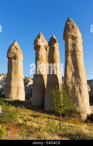 Camini di Fata, fallo a forma di formazioni di tufo, Love Valley, Goreme National Park, Cappadocia, Nevsehir Provincia Foto Stock