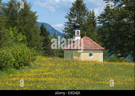 Cappella 'Maria Rast auf den Buckelwiesen', con una molla di fioritura di prato, Krün, Baviera, Germania Foto Stock