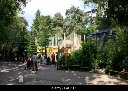 Orso bruno contenitore in Amersfoort (Zoo Dierenpark Amersfoort) con le famiglie in visita Foto Stock