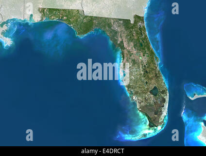 Stato della Florida, Stati Uniti, True Color satellitare immagine Foto Stock