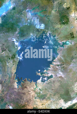 Il lago Victoria, Africa, True Color satellitare immagine. True color immagine satellitare del lago Victoria, uno dei grandi laghi africani Foto Stock