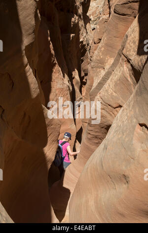 Hanksville, Utah - Susan Newell, 65, escursioni in poco cavallo selvaggio canyon. Foto Stock