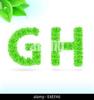 Sans serif font con foglia verde decorazione su sfondo bianco. G e H le lettere Foto Stock