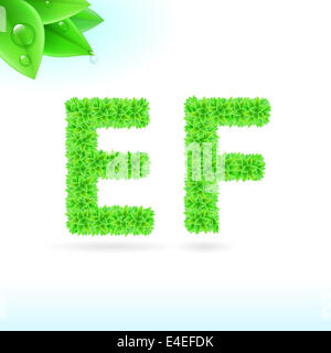 Sans serif font con foglia verde decorazione su sfondo bianco. E e F lettere Foto Stock