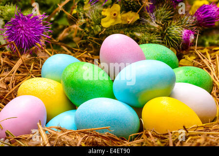 Poco zucchero colorato e di uova di cioccolato in un nido con fiori intorno per la celebrazione di Pasqua Foto Stock