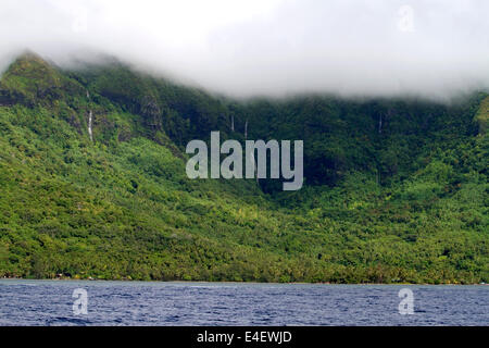 La lussureggiante vegetazione dell'Isola di Moorea, Polinesia francese. Foto Stock