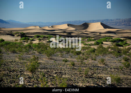 Le dune di sabbia a tubo da stufa di pozzi, nel Parco Nazionale della Valle della Morte Foto Stock